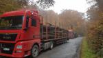Lastebil til tømmer - Transport og lasting / lossing