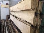 Lind Tømmer til bruk på snekkerverksteder | Hardtre | Tømmer | JAF HOLZ Slovakia