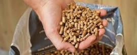 Pellets Furu | Ved, brensel | SCOPULUS Handels-und Dienstleistungs GmbH