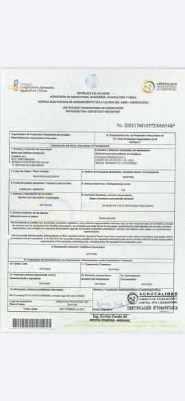 Teak Sag-rundtømmer |  Tropiske treslag | Rundtømmer | SOFT IT SP .ZO.O SPÓŁKA Z OGRANICZONĄ ODPO