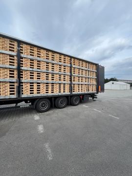 Lastepaller Engangspaller | Emballasje, paller | Woodproo s.r.o.