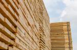 Gran Tømmer til bruk på snekkerverksteder |  Mykt tre | Tømmer | DEMO