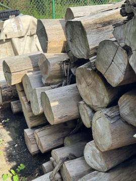 Teak Sag-rundtømmer |  Tropiske treslag | Rundtømmer | SOFT IT SP .ZO.O SPÓŁKA Z OGRANICZONĄ ODPO