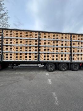 Lastepaller Engangspaller |  Emballasje, paller | Woodproo s.r.o.