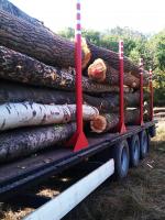 Poppel Finer-rundtømmer |  Hardtre | Rundtømmer | Pristaš