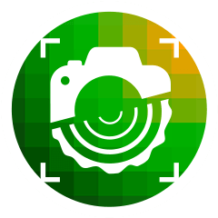 Mobil-app